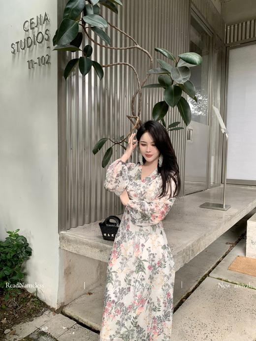 Read Nameless /布达佩斯连衣裙 商品图6