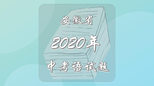 2020年安徽省中考语文试题 商品图0