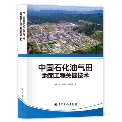 【旗舰店】中国石化油气田地面工程关键技术 可供油气田地面工程技术人员、科研人员和大中专院校相关专业师生参考 中国石化出版社 商品图2