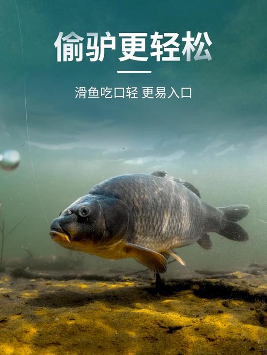 快乐垂钓千寿渔乐工作站【竞技版】钓线50M 商品图3