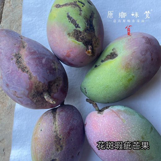 云南干热河谷有机芒果（基地直发-顺丰快递）| 现发小贵妃芒果，来自云南楚雄生产者：庄代康【合作生产，公平贸易】 商品图8