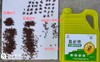 盈必绝-雌雄双杀-实蝇浓饵剂 商品缩略图2