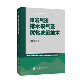 页岩气田排水采气及优化决策技术中国石化出版社