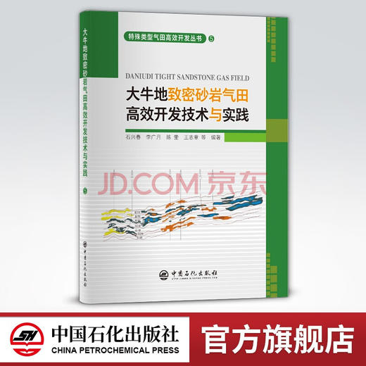 【旗舰店】大牛地致密砂岩气田高效开发技术与实践  可供气田开发建设者参考阅读 致密、砂岩、开发、实践  中国石化出版社 商品图0