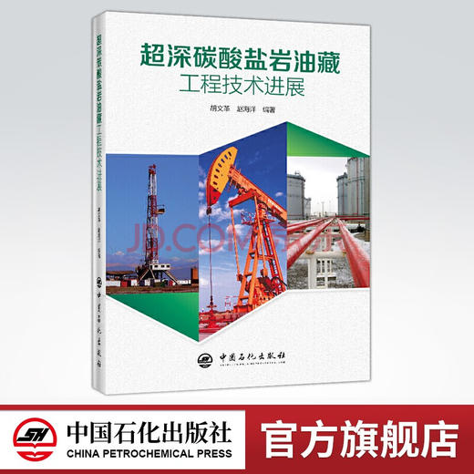 【旗舰店】超深碳酸盐岩油藏工程技术进展 石油化工油藏采油钻井工程完井测试工程储层改造 地面防腐工程 中国石化出版社 商品图0