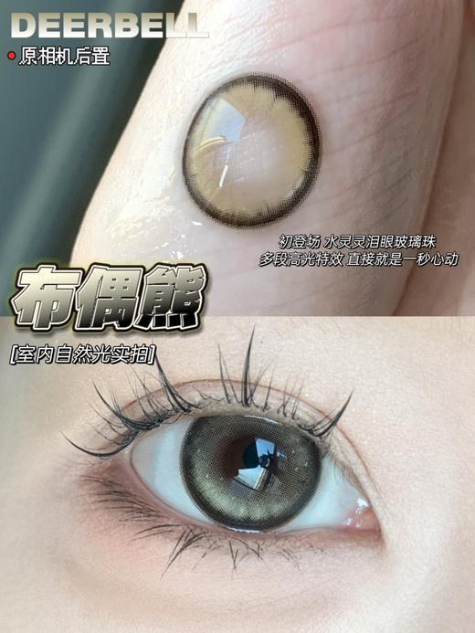 Deerbell年抛|布偶熊 14.2mm 商品图1