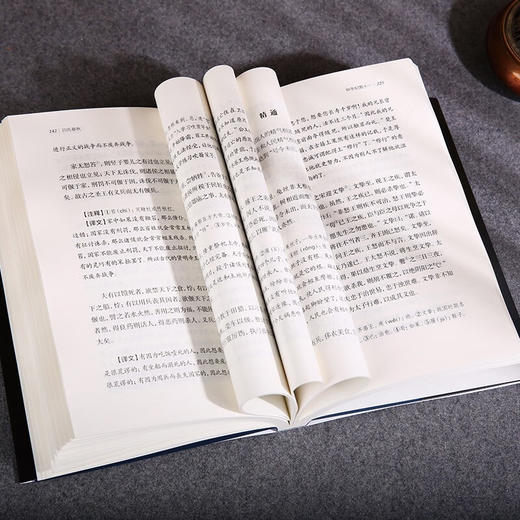 吕氏春秋 全二册 吕不韦 著 国学古籍 商品图2