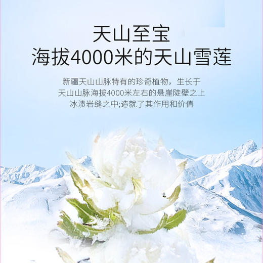 英贝健和真源雪莲干细胞贴 商品图4