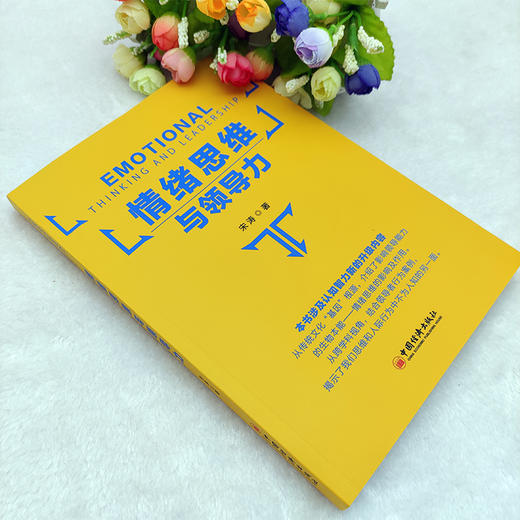 【官方旗舰店】情绪思维与领导力 宋涛 以思维形式为分析视角在国内提出“情绪思维”概念并对其内涵构成及特征进行了系统研究 商品图1