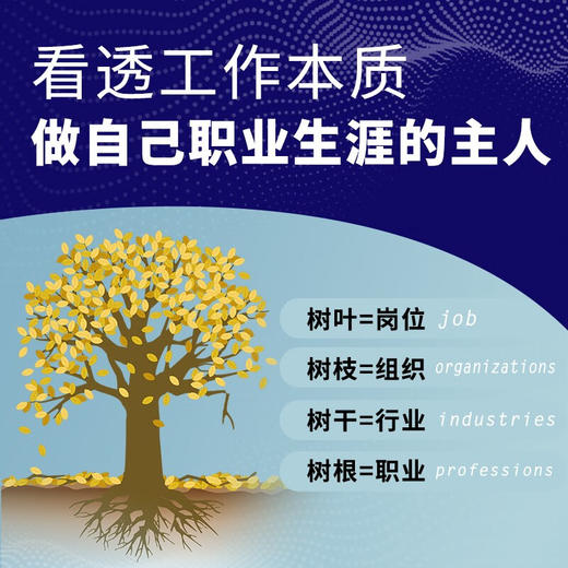 商业模式新生代 个人篇 第二版 一张画布重塑你的职业生涯 蒂莫西·克拉克等 著 管理 商品图2
