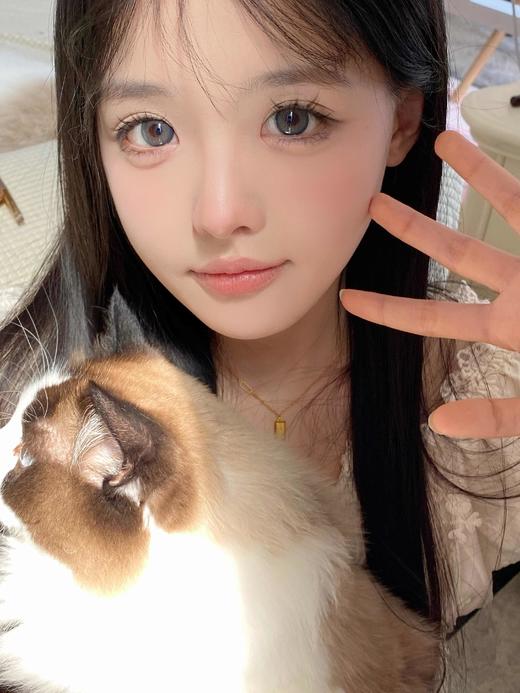 【中直径】Leenscolor-蝶豆花-14.2mm 【年抛 度数0-1000度 含有525/575】 商品图7