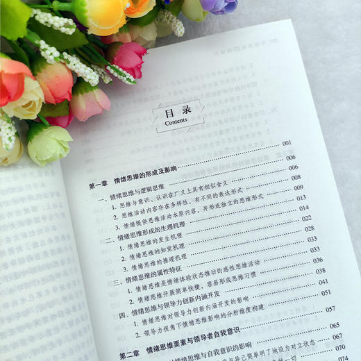 【官方旗舰店】情绪思维与领导力 宋涛 以思维形式为分析视角在国内提出“情绪思维”概念并对其内涵构成及特征进行了系统研究 商品图2