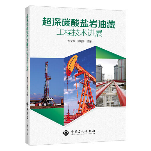 【旗舰店】超深碳酸盐岩油藏工程技术进展 石油化工油藏采油钻井工程完井测试工程储层改造 地面防腐工程 中国石化出版社 商品图2