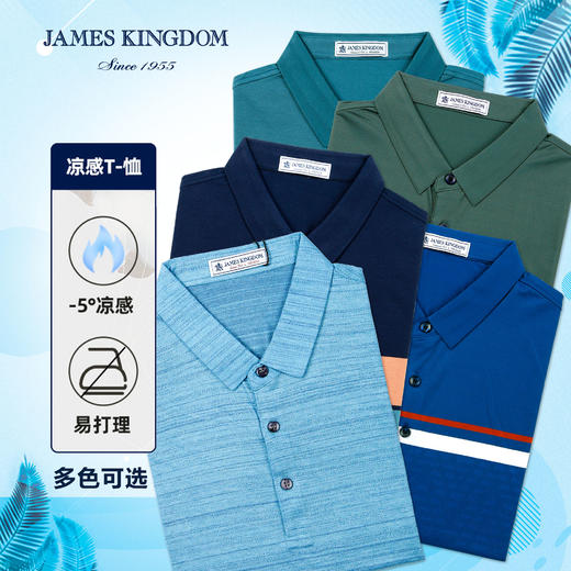 占姆士夏季新男士短袖T恤翻领POLO衫时尚休闲条纹上衣 商品图0