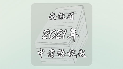 2021年安徽省中考语文试题 商品图0