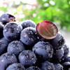 云南夏黑葡萄4斤装 无籽葡萄酸甜多汁新鲜水果现摘现发 商品缩略图0