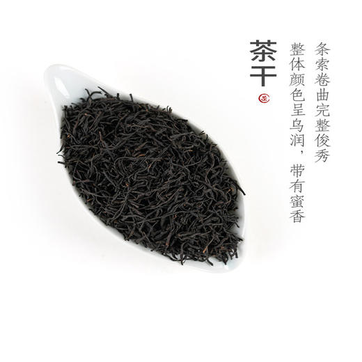 福建武夷山古树红茶250g 商品图2
