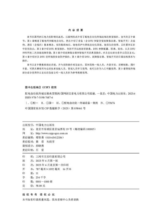 配电自动化终端运维典型案例 商品图3
