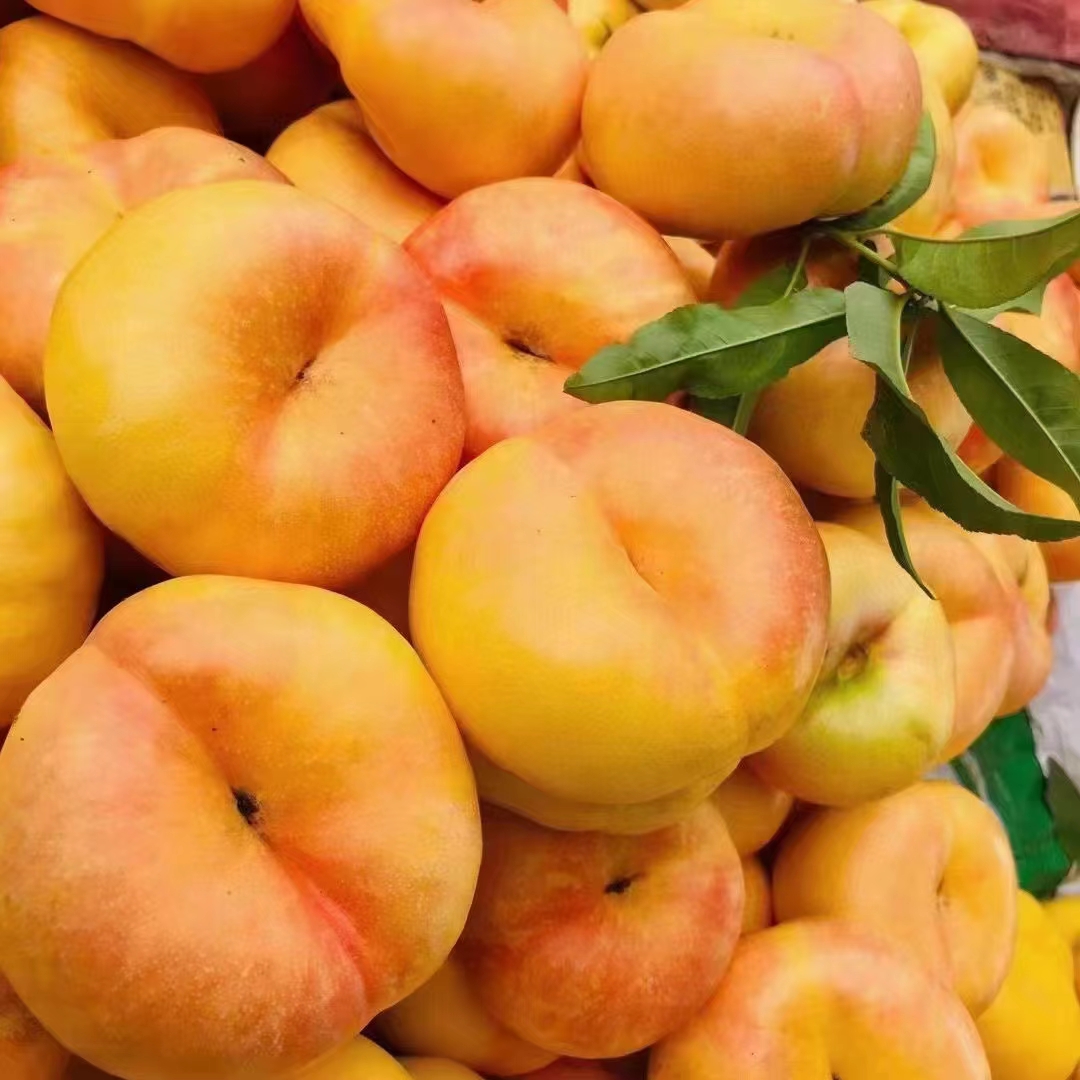蒙阴黄金油蟠桃5斤（皮薄肉厚核小，脆甜多汁）