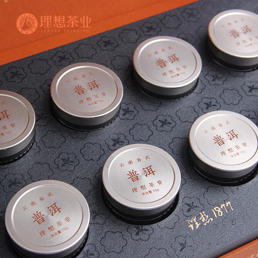 理想1877·十五年陈·普洱生茶8000 商品图4