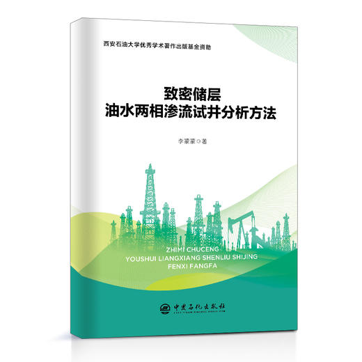【旗舰店】致密储层油水两相渗流试井分析方法 对致密储层油水两相渗流试井分析方法进行了系统阐述 砂岩储集层 致密储层两相渗流 商品图1