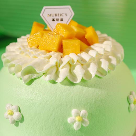 5英寸茵茵草野（停用） 商品图1