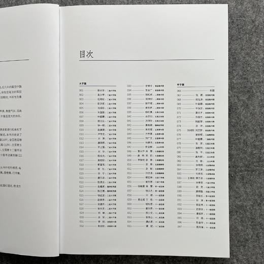 【国展参考-魏碑集】精选全国性篆刻书法展作品 商品图1