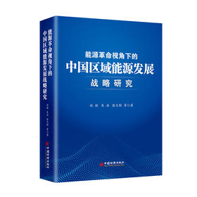 能源革命视角下的中国区域能源发展战略研究  中国经济出版社