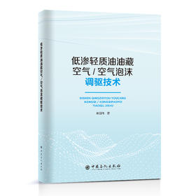 【旗舰店】低渗轻质油油藏空气/空气泡沫调驱技术 低渗、油藏、空气、调驱 秦国伟 著9787511466617
