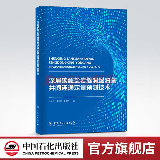 【旗舰店】层碳酸盐岩缝洞型油藏井间连通定量预测技术 地质学 油气勘探 碳酸盐 建模 数模 商品图0