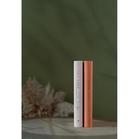 中国绘画 五代至南宋 巫鸿 著 艺术