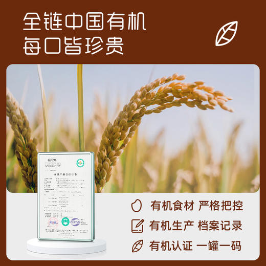 英氏忆格有机五常大米营养米粉248g（番茄牛肉加锌/维D加钙草莓苹果/维C加铁） 商品图9