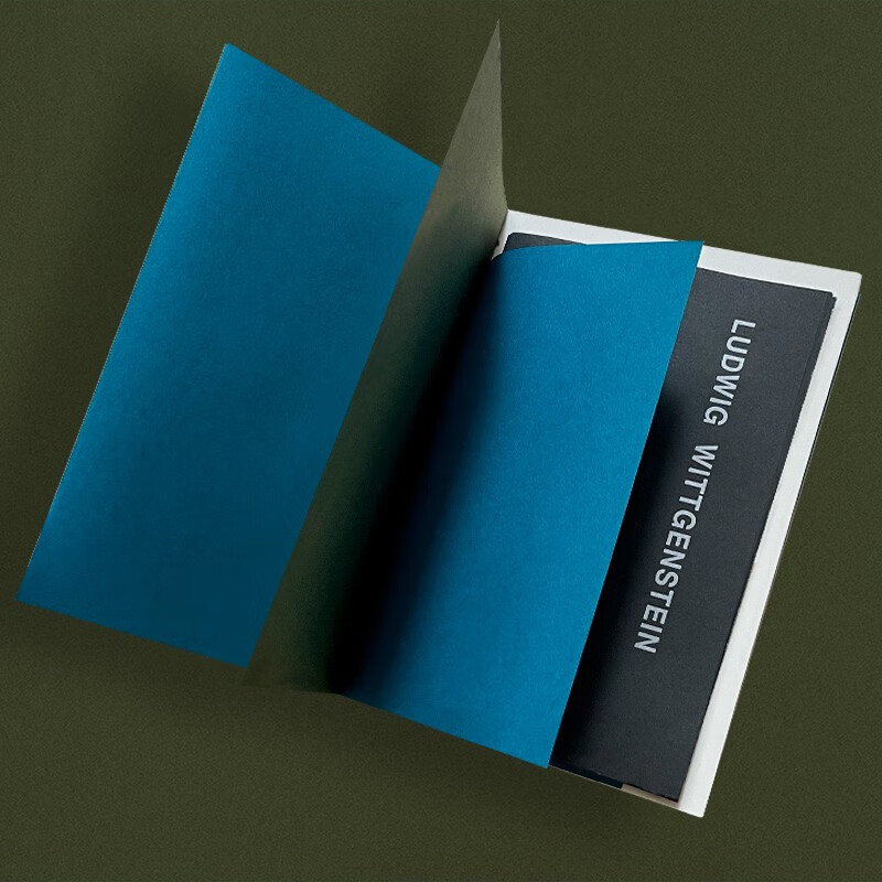 维特根斯坦十讲 楼巍 著 哲学