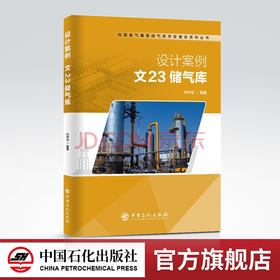 【旗舰店】设计案例：文23储气库 储气库建设开发文23储气库的开发建设知识设计思路及规模流程图及平面布置主要设备技术规格书
