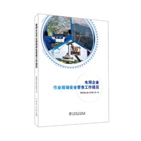 电网企业作业现场安全督查工作规范