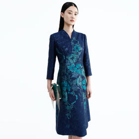 戴布拉芬连衣裙L26C563