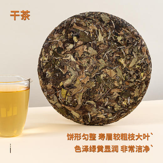 福鼎白茶2019年寿眉饼（金初见）300克/饼 商品图1