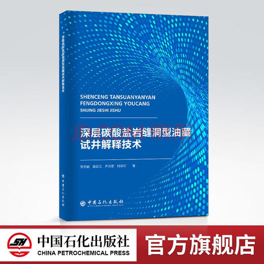 【旗舰店】深层碳酸盐岩缝洞型油藏试井解释技术 地质学 油气勘探 碳酸盐 建模 数模 商品图0