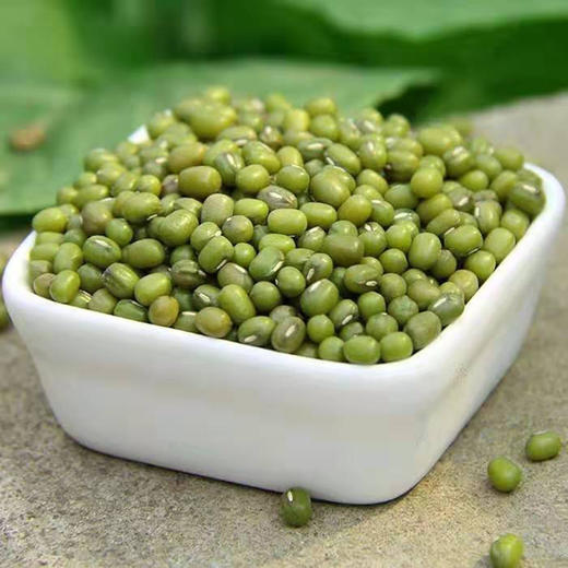 湖北秭归绿豆480g袋装 杂粮干货 商品图0