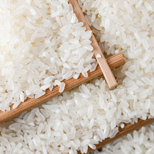 【东北】米小胖现打鲜米5斤 商品图4