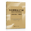 【旗舰店】低渗碳酸盐岩气藏高效开发技术研究：以磨溪气田雷一1气藏为例 油气田勘探开发，碳酸盐油气藏，油田开发 商品缩略图1