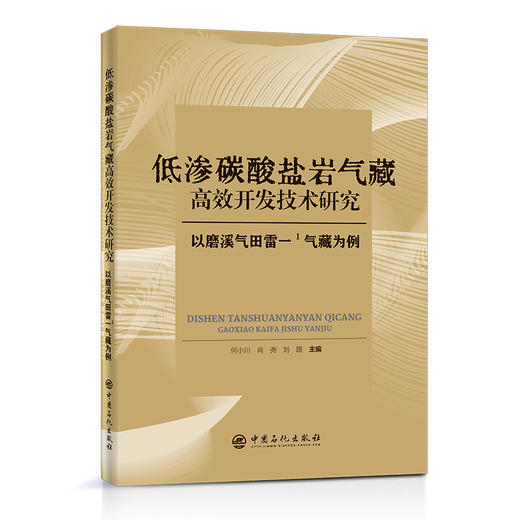 【旗舰店】低渗碳酸盐岩气藏高效开发技术研究：以磨溪气田雷一1气藏为例 油气田勘探开发，碳酸盐油气藏，油田开发 商品图1