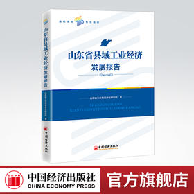 【官方旗舰店】山东省县域工业经济发展报告 工业和信息化，县域经济，工业经济