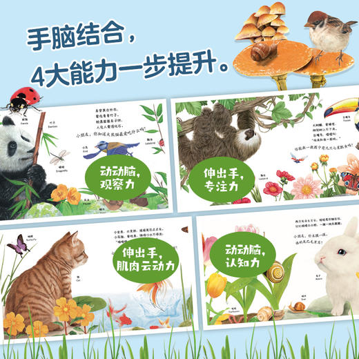 【童趣】小手摸摸大自然触摸书（3册） 商品图3