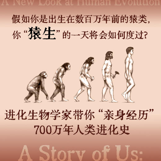 人类如何走到今天 莱斯利纽森 等著 跳出唯基因遗传学论视角 直击史前人类七个阶段的利益权衡与文化进化 商品图1