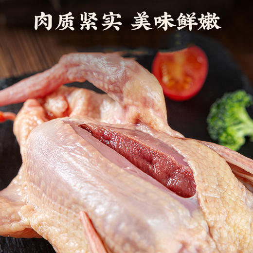 【周五发货  需提前预定 】生鲜肉类 郧阳乳鸽新鲜现杀 商品图5