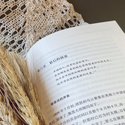 私人铸币 工业革命时代的货币世界1775-1821 万川 商品图4