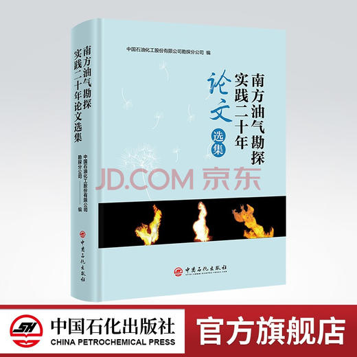 【旗舰店】南方油气勘探实践二十年论文选集 油气勘探、 南方油气、天然气、页岩气 中国石油化工股份有限公司勘探分公司 编 商品图0