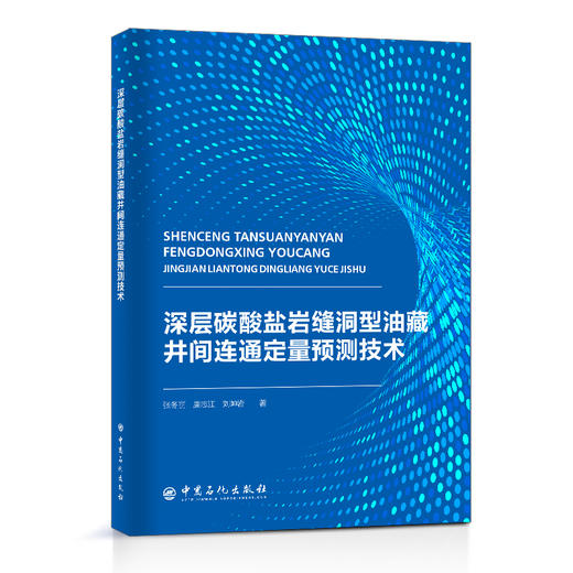 【旗舰店】层碳酸盐岩缝洞型油藏井间连通定量预测技术 地质学 油气勘探 碳酸盐 建模 数模 商品图1