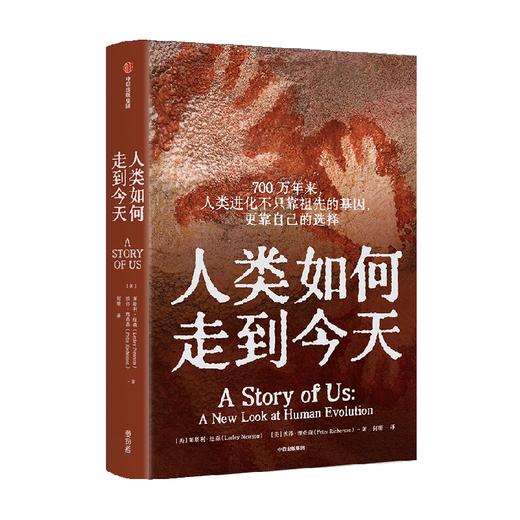 人类如何走到今天 莱斯利纽森 等著 跳出唯基因遗传学论视角 直击史前人类七个阶段的利益权衡与文化进化 商品图2